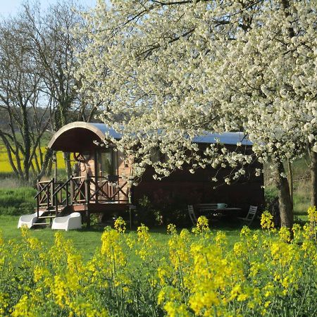 Roulotte Panoramique Du Moulin Bed & Breakfast Chatillon-sur-Marne ภายนอก รูปภาพ