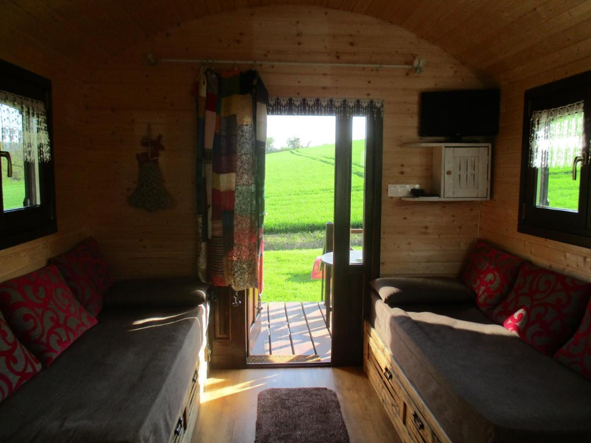 Roulotte Panoramique Du Moulin Bed & Breakfast Chatillon-sur-Marne ภายนอก รูปภาพ