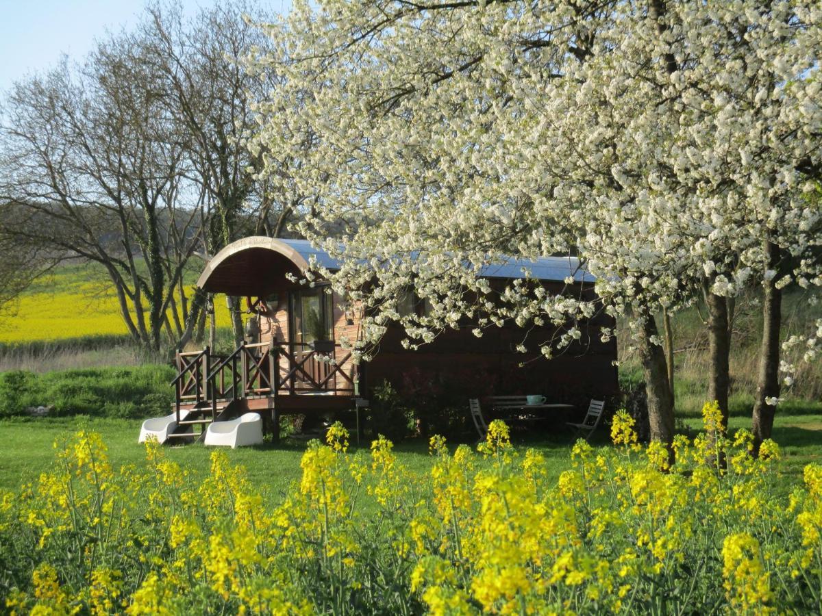 Roulotte Panoramique Du Moulin Bed & Breakfast Chatillon-sur-Marne ภายนอก รูปภาพ